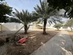 موقع ممتاز مساحة 16 ألف قدم مساحة الأرض : Image 2