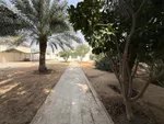 موقع ممتاز مساحة 16 ألف قدم مساحة الأرض : Image 5