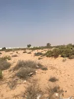 🏢 للبيع أرض تجارية – إمارة الشارقة | منطقة القليعة 🏢 : Image 1