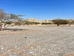 ارض للبيع فى راس الخيمة  قريبة من الجبل : Image 4