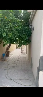 A distinctive villa for sale in Al Ghafia, Al-Riqqa suburb, with a garden view of 6500 feet - Sharjah : Image 5