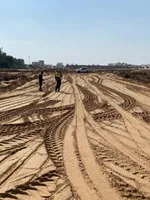 الزاهية الحليو : Image 2