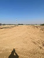 الزاهية الحليو : Image 3