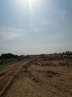 أرضك اليوم… بداية حكاية الغد في بساتين السرة : Image 8