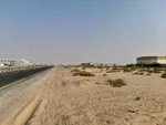 Al Qasimia 4 - The price of a cat : Image 2