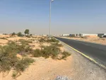 Al Qasimia 4 - The price of a cat : Image 3