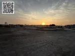 For Sale Residential Plot in Al Manama, Ajman : Image 5
