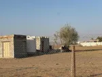 Ezbah – Ranch for Sale in Al Sabrah Al Ain : Image 4
