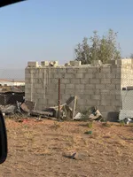 Ezbah – Ranch for Sale in Al Sabrah Al Ain : Image 7