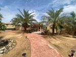 للبيع فيلا بمنطقة شغرافة 3 ضاحية الرحمانية الشارقة : Image 6