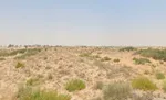 للبيع ارض سكنية بمنطقة المطرق ضاحية الرويضات الشارقة : Image 1