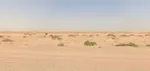 للبيع ارض سكنية بمنطقة المطرق ضاحية الرويضات الشارقة : Image 6