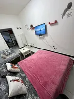 Furnished studio available for rent : Image 8