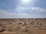 للبيع أرض سكنية في الشارقة البليدة : Image 2