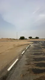 للبيع ارض سكنية حوشي - الشارقة : Image 8