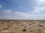 للبيع أرض سكنية في البليدة 3 الشارقة : Image 1