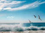 اقل سعر للقدم علي الكورنيش عجمان مباشرة بدفعه اولي 5% فقط : Image 5