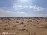 أرض صناعية للبيع في عرقوب الصناعية, الشارقة : Image 3