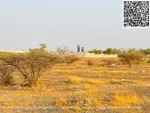 أرض سكنية للبيع في المنامة, عجمان : Image 3