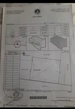 مزرعة للبيع في المنامة, Ajman : Image 1