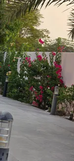 للإيجار فيلا في الزاهية, الشارقة : Image 6