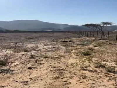 مزرعة للايجار فى راس الخيمة 168 الف قدم ب 70 الف سنوى : Image