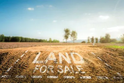 أرض شاسعة للبيع - الحليو 2، عجمان : Image