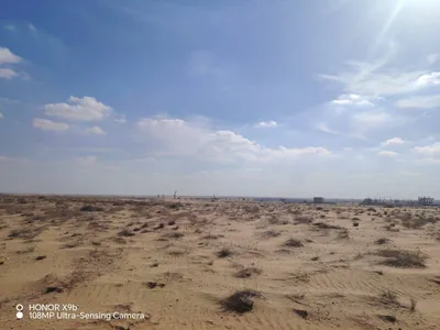 للبيع أرض سكنية في البليدة 3 الشارقة : Image