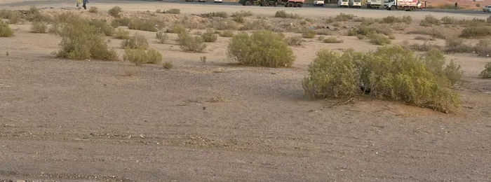 Residential land for sale in Al Ain Al Khabisi Nasiriyah : Image 1