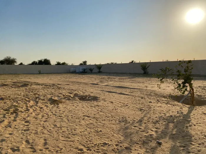 ارض مفتوحة للإيجار في دبي وادي العمردي ( الخوانيج ) : Image 1