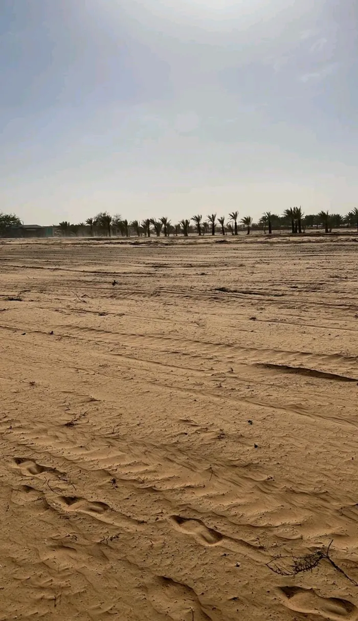 Freehold commercial land for sale in Al Shamkha Alreeman 1 building permit : Image 1