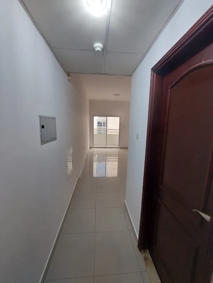 A studio in Hamidiya : Image 1