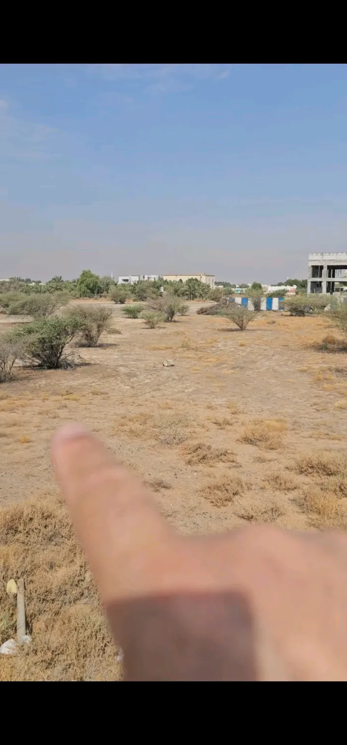 Residential commercial land for sale in Al Dhaid area in the Emirate of Sharjah, second row of the street : Image 1