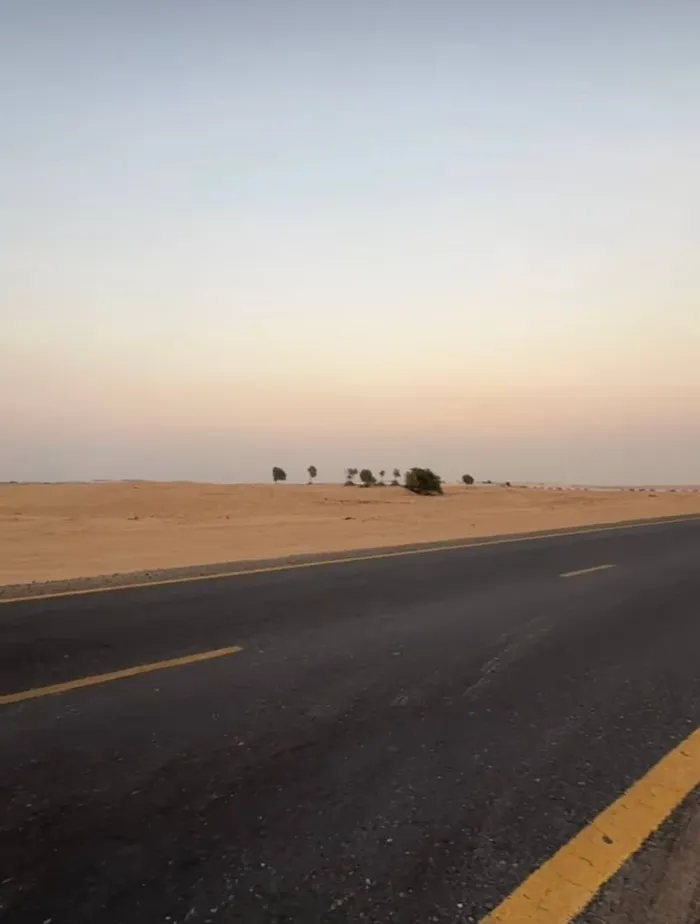 للبيع منطقة السحمة فرصة استثمارية مميزة جدا جدا للي حاب يستثمر فلوسه في أراضي سكنية مميزة في الشارقة سواءا للتطوير العقاري وبناء فلل وبيعها أو تأجيرها : Image 1