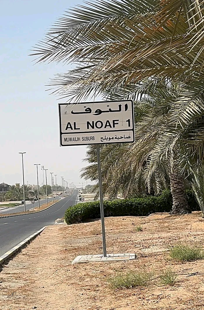 For sale, there are (2) two-storey villas in Sharjah Al Nouf : Image 1