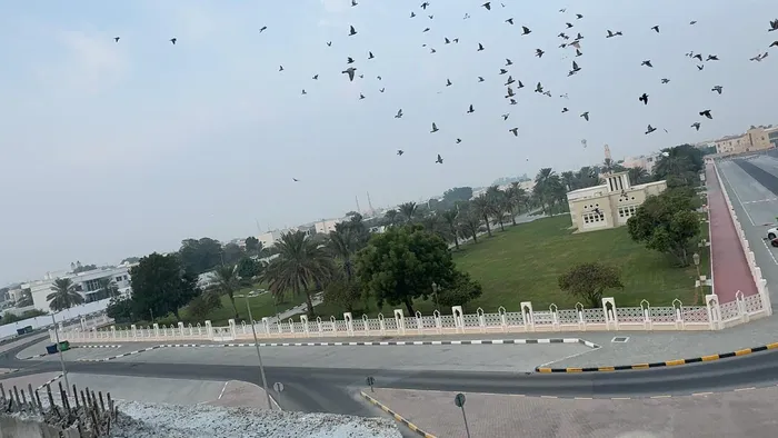 For sale residential corner plot in Sharjah, Al Quoz, Wasit suburb : Image 1