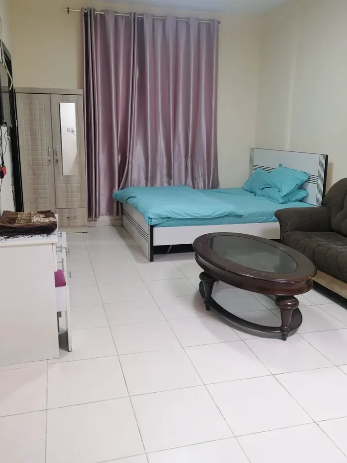 بنايه واحه العين : Image 1