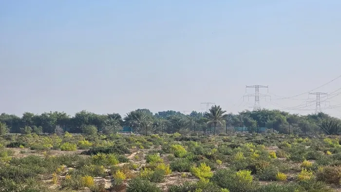 For sale a farm in Abu Dhabi, Al Ajban area : Image 1