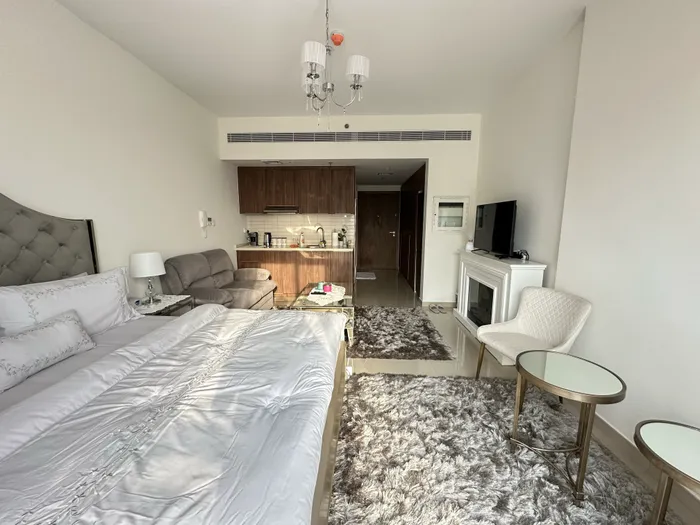 luxurious spacious huge size brand new studio apartment Fully Furnished with Bills : Image 1