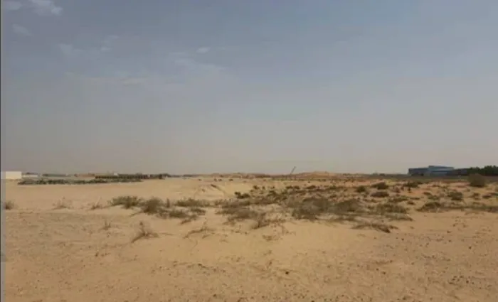 Rawd Al-Sidr : Image 1