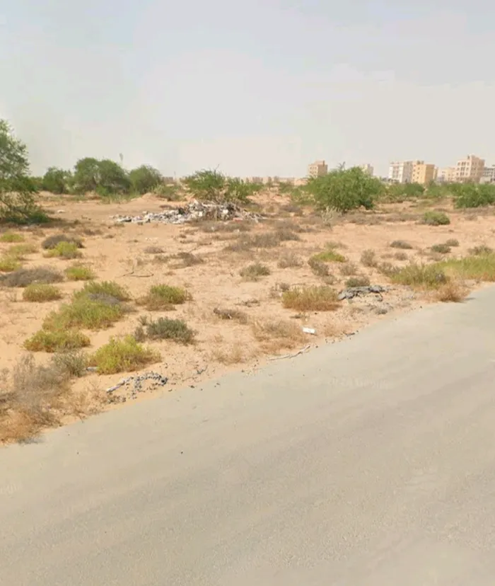 Farm for sale in Ajman : Image 1
