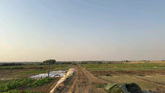 Farm for sale in Nizwa, Sharjah : Image 1