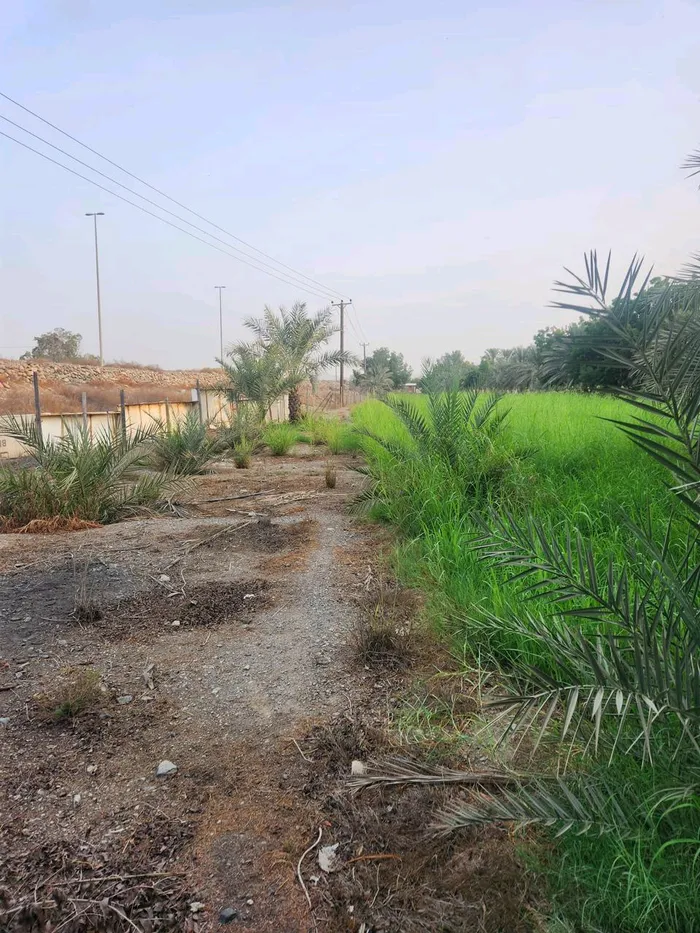 مزرعة فاخرة للبيع : Image 1