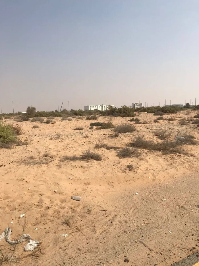 🏡 Land for sale in Basateen Al Zubair - a very special location! And the price of a screenshot 🌳📍 : Image 1