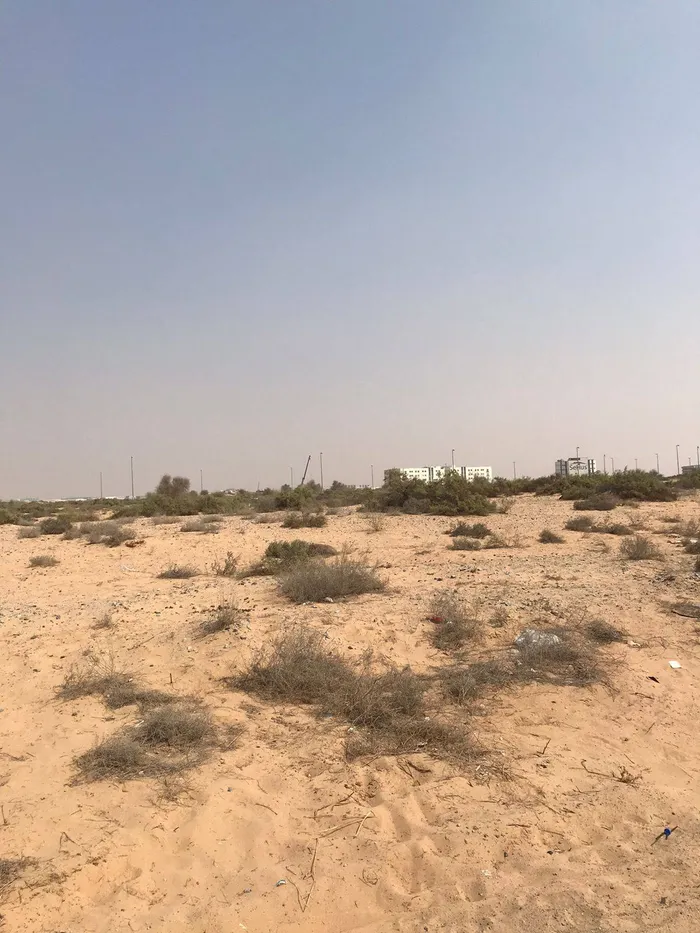 🌟 فرصة استثمارية ذهبية – قطعة أرض بنظام أقساط في القاسمية – المرحلة الرابعة 🌟 : Image 1