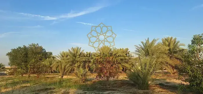 للبيع مزرعة في الباهية لاول مرة تنعرض في السوق بموقع مميز جدا في الباهية القديمة خلف ديرفيلدز مول : Image 1