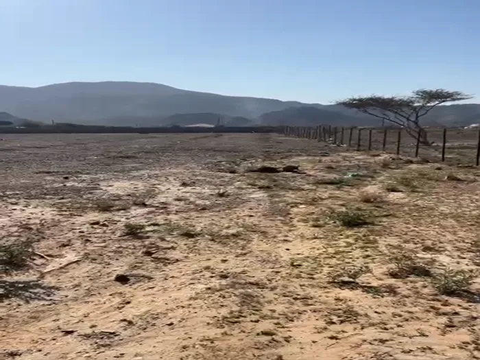 مزرعة للايجار فى راس الخيمة 168 الف قدم ب 70 الف سنوى : Image 1