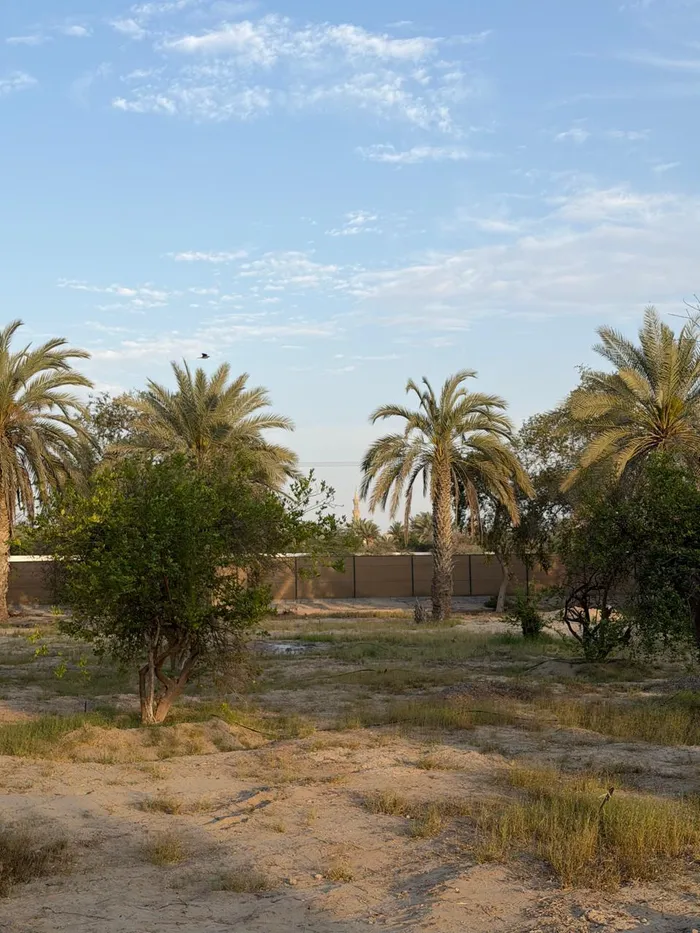 مزرعه مميزه جدا في الباهيه موقع مميز مساحه كبيره : Image 1