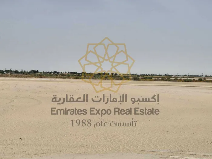 للبيع عزبة في بدع بنت سعود بموقع مميز جدا بين دبي والعين وقريب ناهل طريق سويحان أبوظبي : Image 1